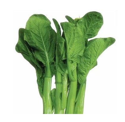 品味江南鲜甜，新鲜蔬菜直送餐桌