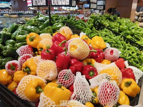 菜篮子装满“稳”与“鲜” 春节前哈市副食品市场价格表里藏着安心与新鲜蔬菜零售的秘密